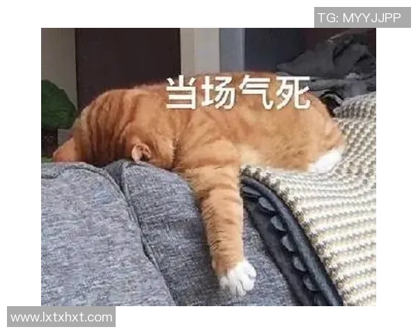 足球小虎被困在比赛中如何逆转局势重拾胜利的信心与勇气