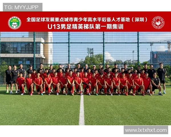 足球打球区的魅力与挑战探索球场上的激情与团队合作精神